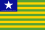 PI Flag